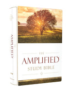 The Amplified Study Bible, Hardcover cover image