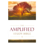 Amplified Study Bible Large Print
