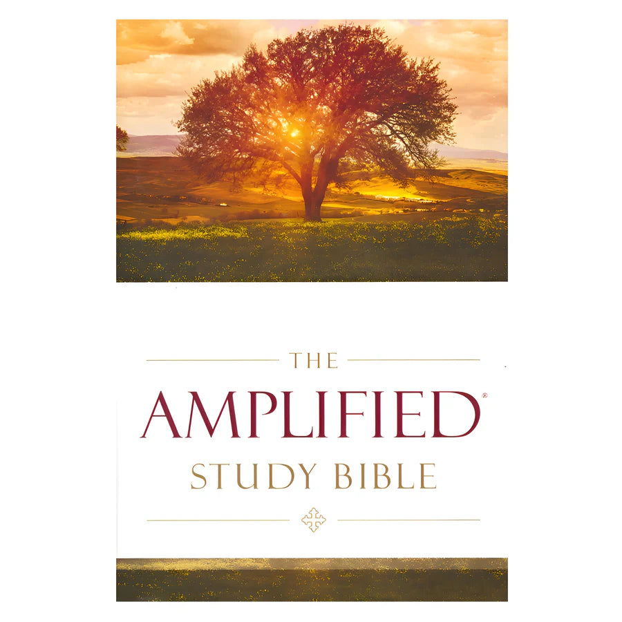Amplified Study Bible Large Print