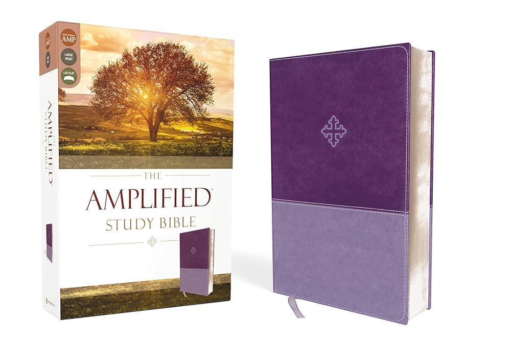 The Amplified Study Bible, Leathersoft, Purple cover image