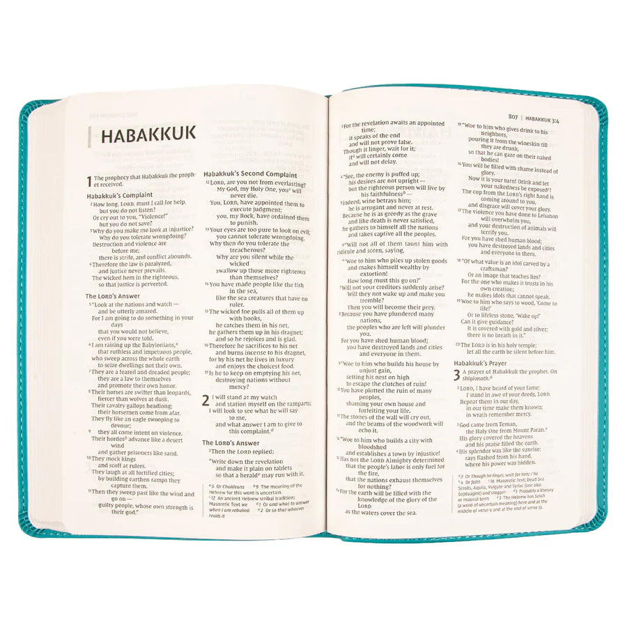 NIV, Value Thinline Bible