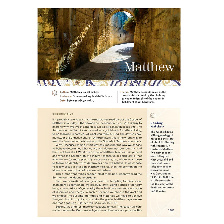 NIV Brown Imitation Leather Application Bible Comfort Print