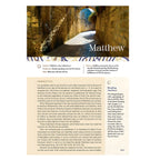 NIV Brown Imitation Leather Application Bible Comfort Print