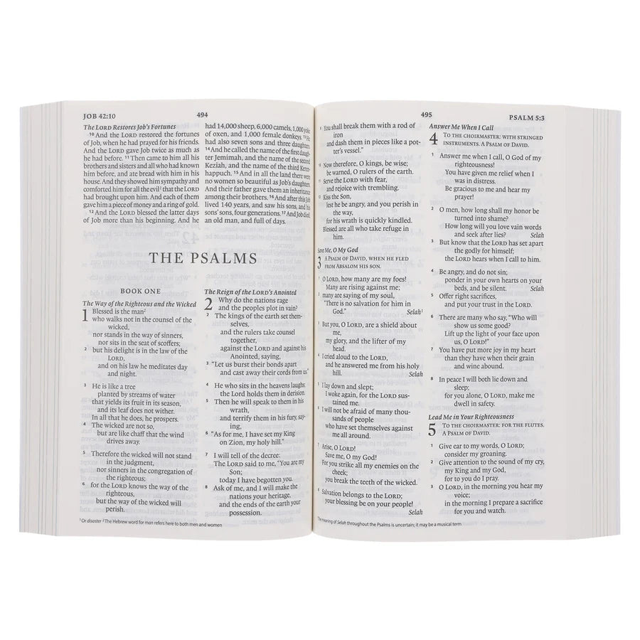 ESV Holy Bible for Kids - Blue Paperback