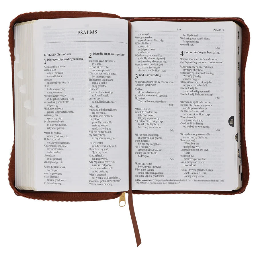 NLV Taan Bruin Kunsleer Standaard Bybel met Ritssluiter en Duimgrepe