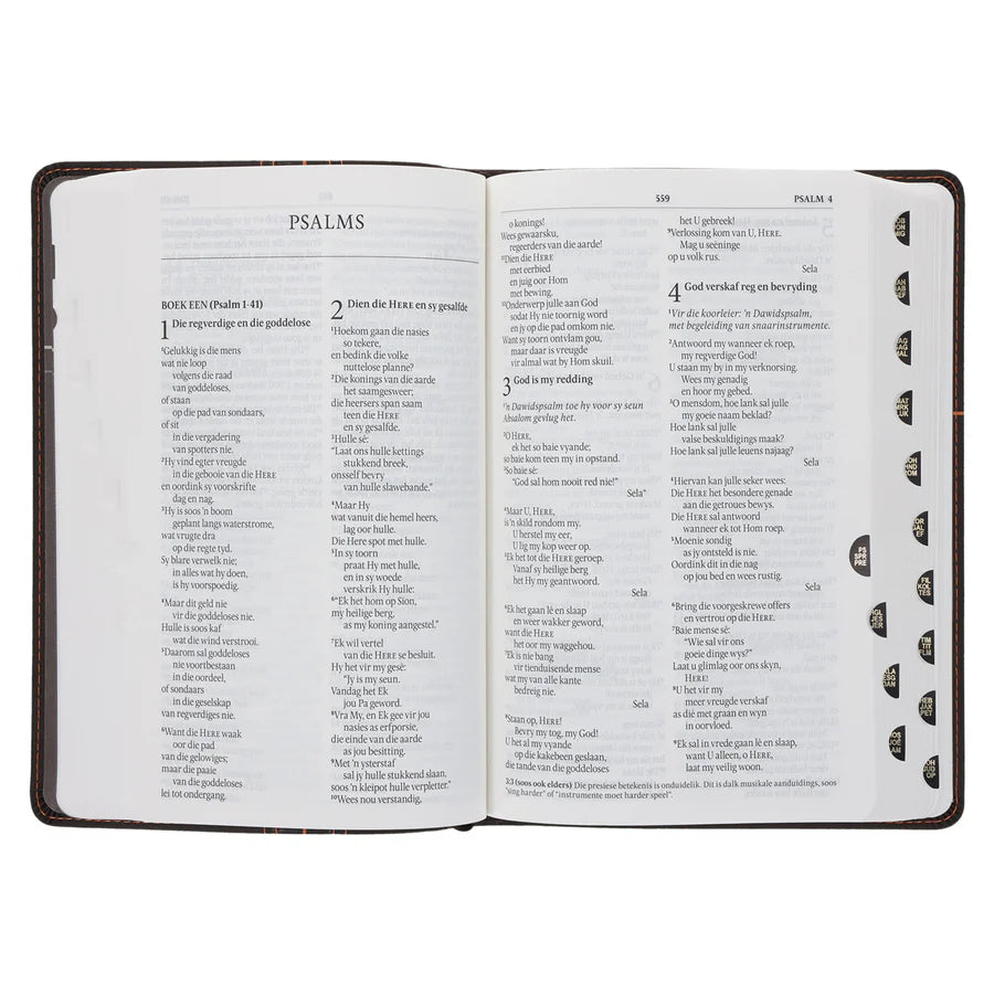 NLV Donkerbruin en Oranje Kunsleer Standaard Bybel Met Duimgrepe
