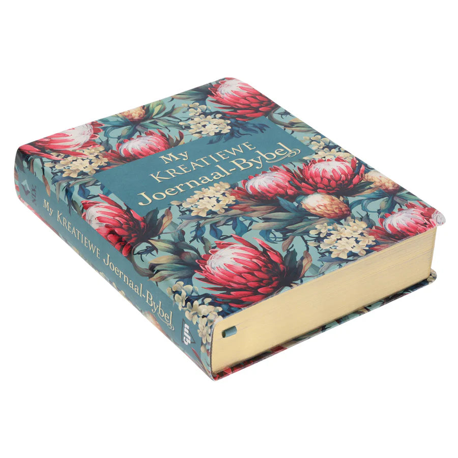 NLV Proteas Kunsleer My Kreatiewe Joernaal-Bybel