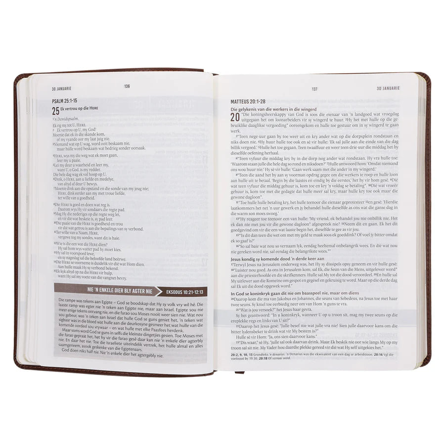 NLV Bruin Kunsleer Stiltetydbybel vir Mans