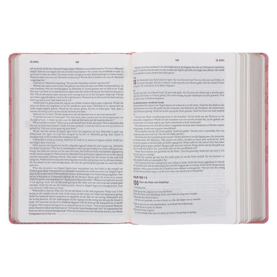 NLV Ligpienk Proteas Kunsleer Stiltetydbybel vir Vroue