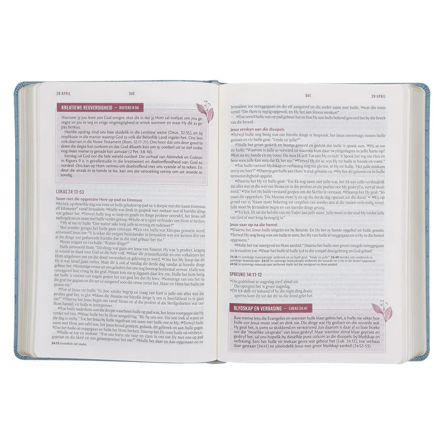 NLV Blougrys Kunsleer Stiltetydbybel vir Vroue