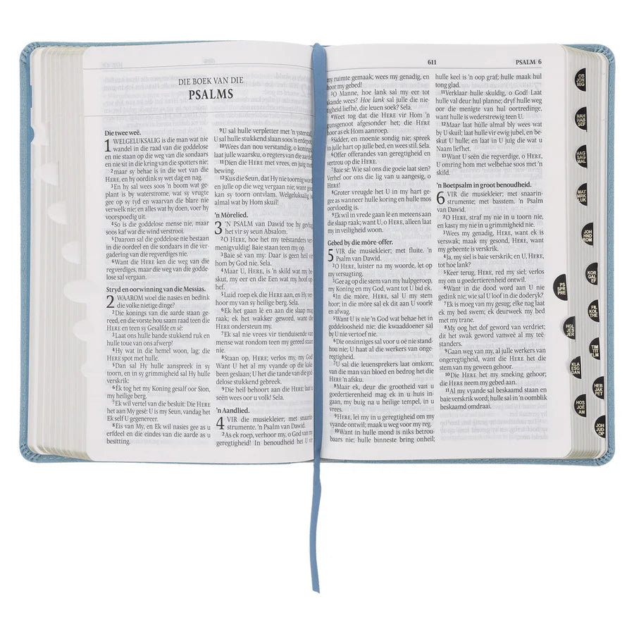 Afrikaans 1933/1953 Vertaling Ligblou Kunsleer Bybel