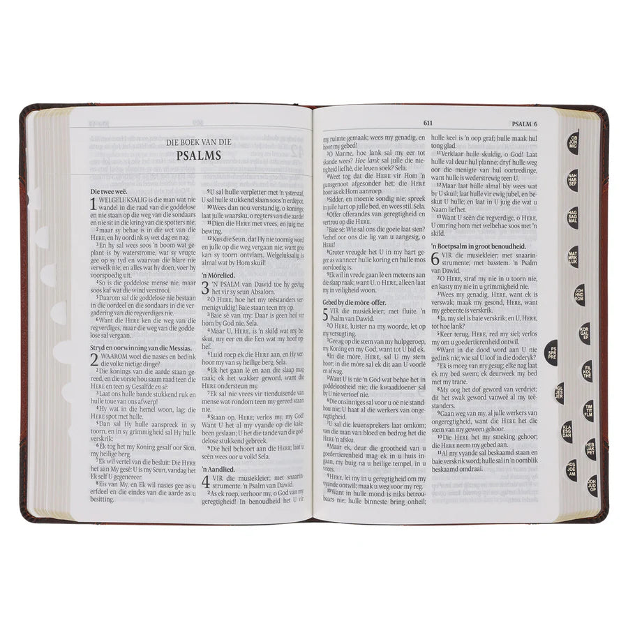 Afrikaans 1933/1953 Vertaling Bruin Kunsleer Bybel