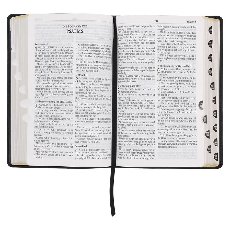 Afrikaans 1933/1953 Vertaling Swart Kunsleer Bybel