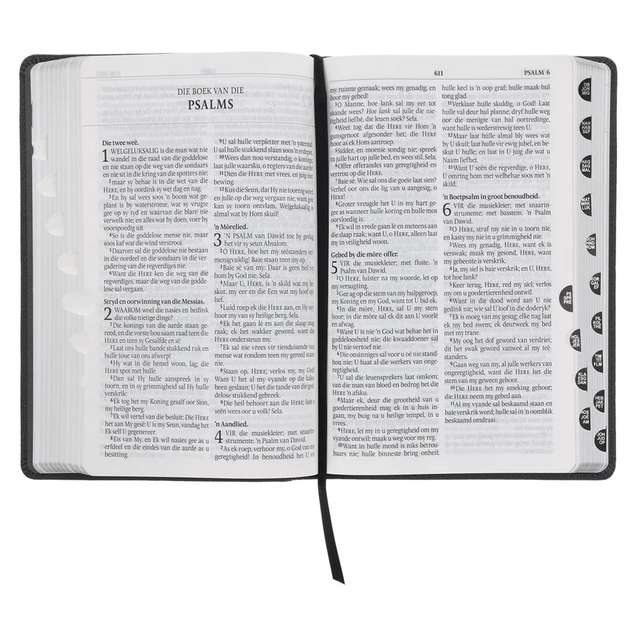 Afrikaans 1933/1953 Vertaling Steenkool Egte Leer Bybel