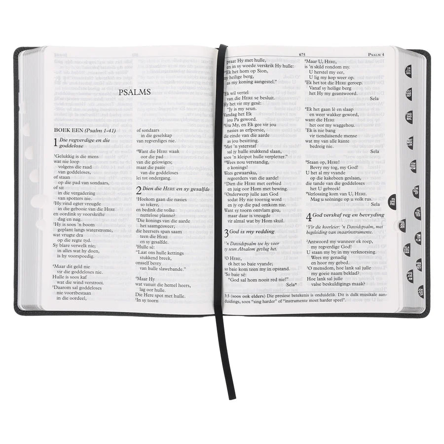 NLV Steenkool Egte Leer Grootdruk Bybel