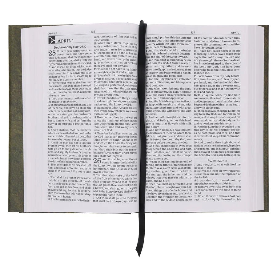 KJV, The Everyday Bible, Hardcover, Red Letter, Comfort Print
