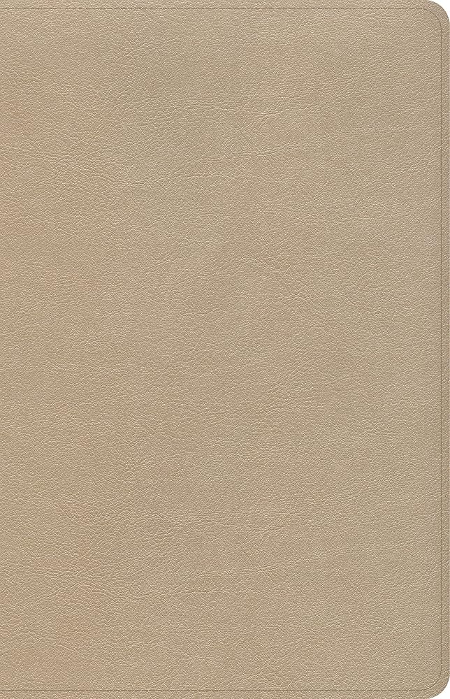 CSB Large Print Personal Size Reference Bible, Gold LeatherTouch, Red Letter, Presentation Page, Cross-References, Full-Color Maps, Easy-to-Read Bible Serif Type cover image