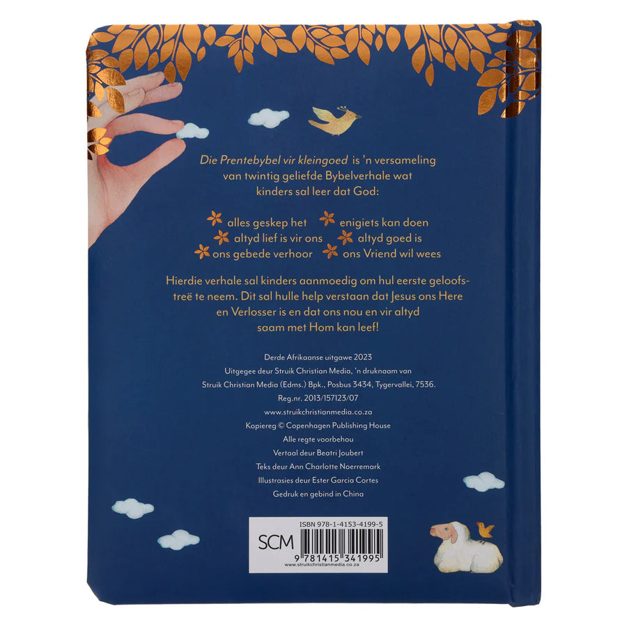 Die Prentebybel Vir Kleingoed