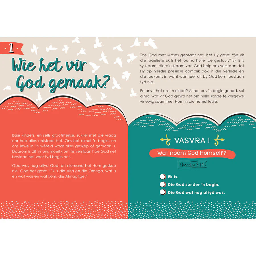 Bybelvrae En Antwoorde Vir Kinders