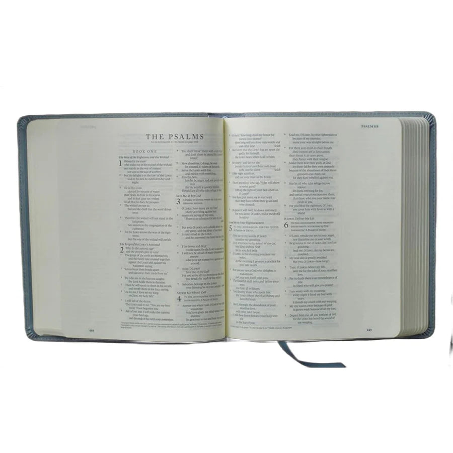 ESV Journaling Bible (TruTone, Paris Sky, Emblem Design)