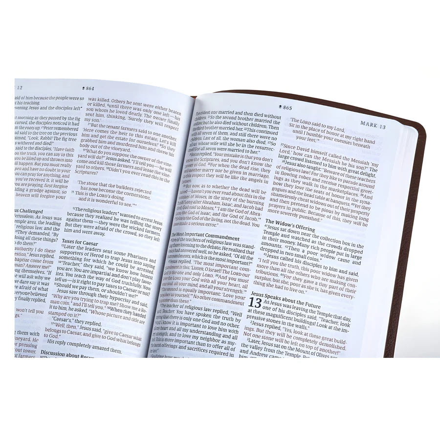NLT Thinline Reference Bible
