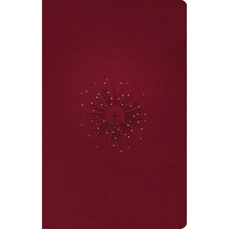 NLT Thinline Reference Bible