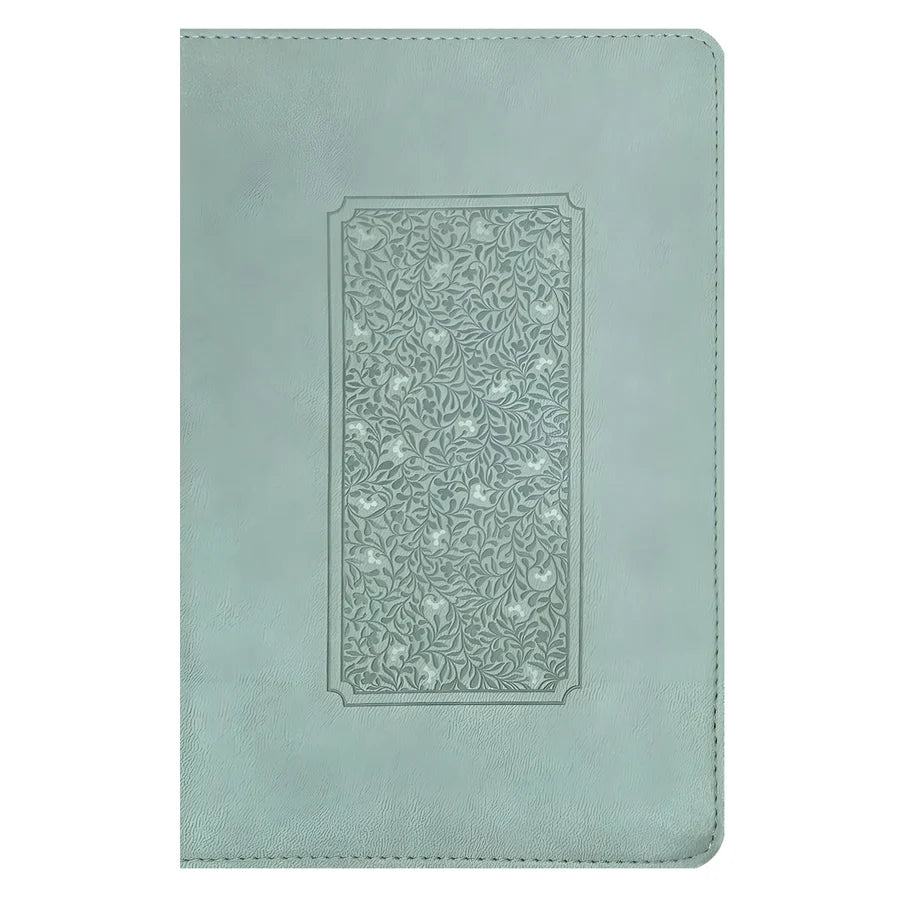 NLT Personal Size Giant Print Bible