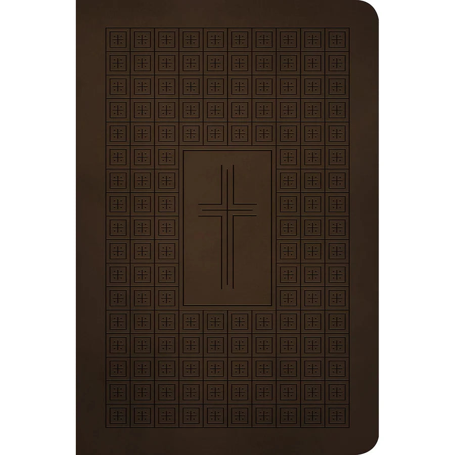 NLT Premium Value Thinline Bible