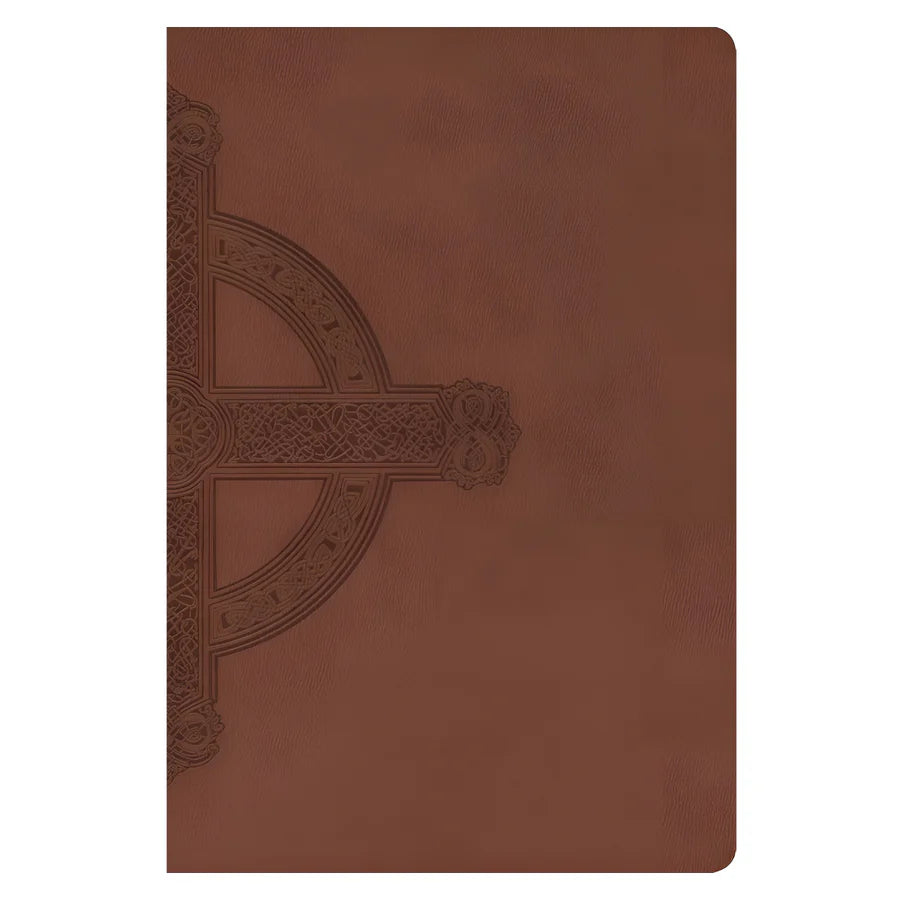 NLT Large Print Premium Value Thinline Bible