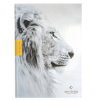 NLT Courage For Life Study Bible for Men