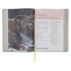 NLT Every Woman’s Bible