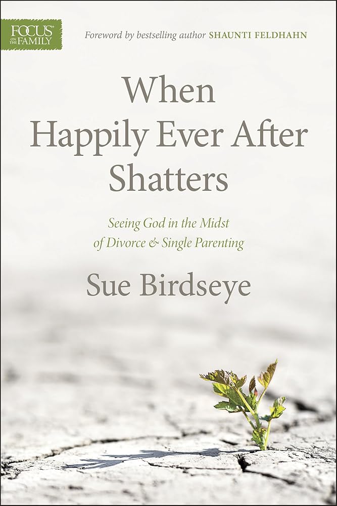 When Happily Ever After Shatters: Seeing God in the Midst of Divorce & Single Parenting cover image