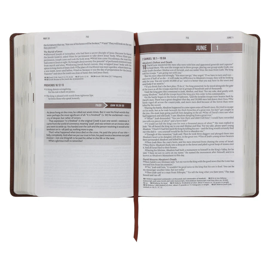 NLT Everyday Devotional Bible for Men