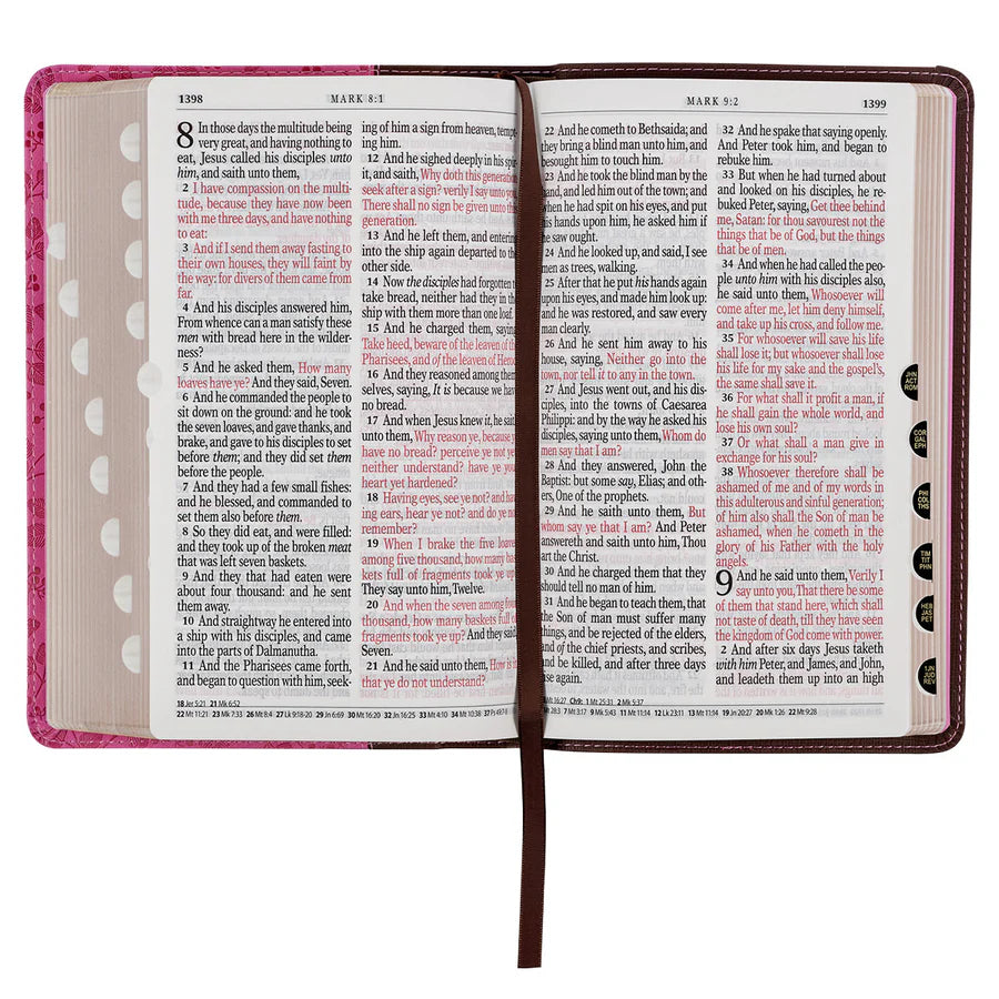 KJV Saddle Tan And Pink Faux Leather Giant Print Bible