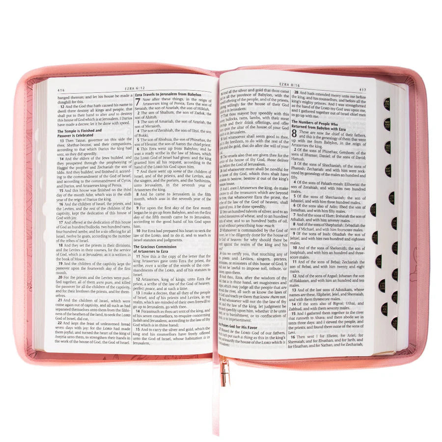 KJV Holy Bible, Thinline Large Print Faux Leather Red Letter Edition