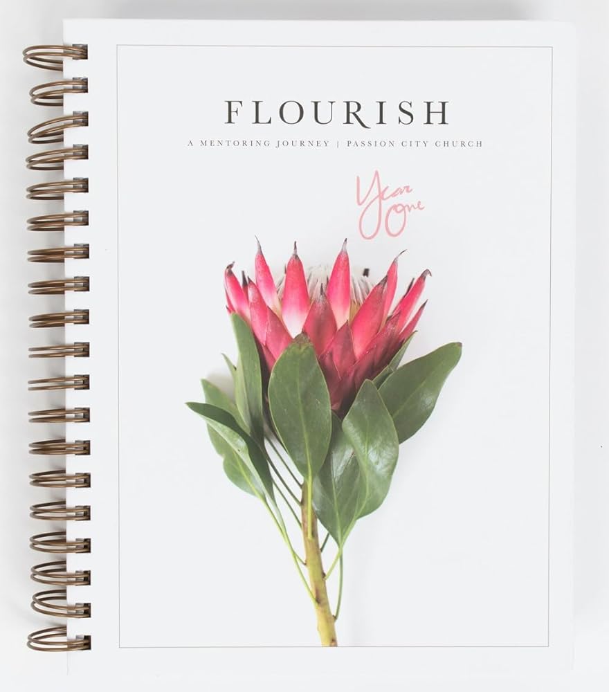 Flourish: A Mentoring Journey - Year One cover image