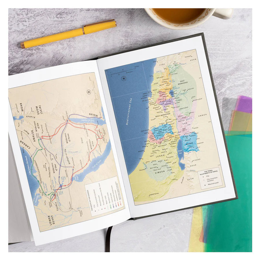 CSB Explorer Bible for Kids